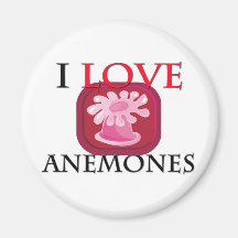 Amo anémonas iman de nevera