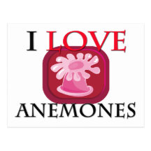 Amo anémonas tarjeta postal