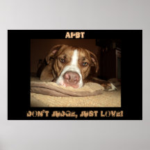 ¡Amo APBT que usted debe también! Posters