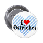 Amo avestruces pin