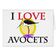 Amo Avocets Felicitaciones