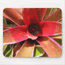 ¡Amo Bromeliads! Alfombrillas De Ratones