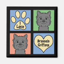 Amo Bruselas Griffons Iman
