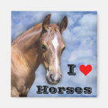 Amo caballos iman para frigorífico