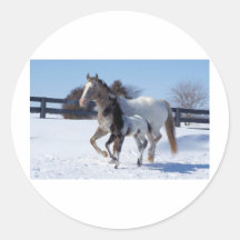 AMO CABALLOS PEGATINA