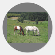 AMO CABALLOS PEGATINAS  