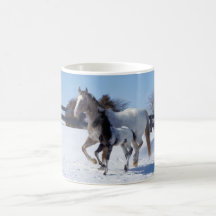 AMO CABALLOS TAZA