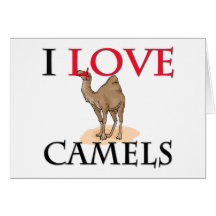 Amo camellos tarjetas