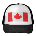 ¡Amo Canadá! Diseño canadiense de la mirada de la  Gorros