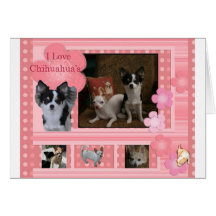Amo chihuahuas felicitaciones