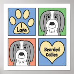 Amo collies barbudos posters