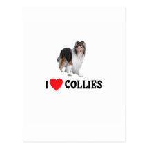 Amo collies postal
