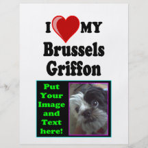 Amo (corazón) mi aviador del perro de Bruselas Gri Tarjetas Informativas