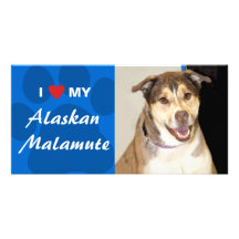 Amo (corazón) mi Malamute de Alaska Tarjeta Personal