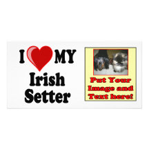 Amo (corazón) mi perro de Irish Setter Tarjeta Fotográfica
