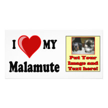 Amo (corazón) mi perro del Malamute Tarjeta Fotográfica Personalizada