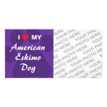 Amo (corazón) mi perro esquimal americano tarjetas fotográficas 