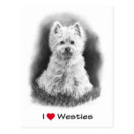 Amo (corazón) Westies: Dibujo de lápiz Postal