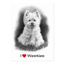 Amo (corazón) Westies: Dibujo de lápiz Postal