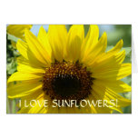 ¡AMO DÍAS SOLEADOS de las tarjetas de los GIRASOLE