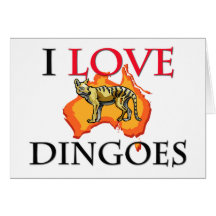 Amo Dingoes Felicitacion