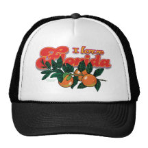 Amo el casquillo de la Florida Gorras