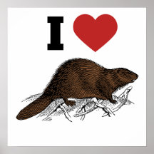 Amo el castor poster