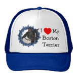 Amo el corazón mi gorra del perro de Boston Terrie