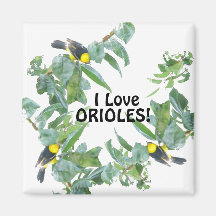 Amo el imán de Oriole