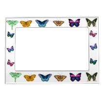 Amo el marco magnético de las mariposas