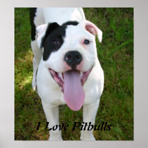 Amo el poster de Pitbulls