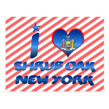 Amo el roble del arbusto, Nueva York Postal