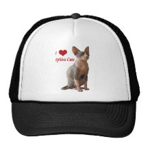 Amo gatos de la esfinge gorros bordados
