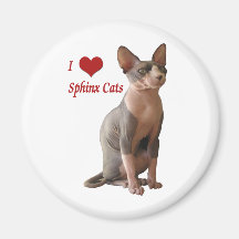 Amo gatos de la esfinge iman de frigorífico