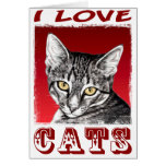AMO GATOS FELICITACION 