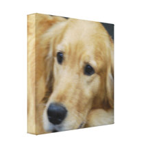 Amo la impresión de la lona de Goldens Impresión En Lienzo Estirada