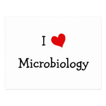 Amo la microbiología tarjeta postal