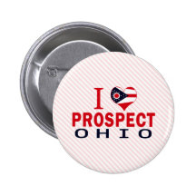 Amo la perspectiva, Ohio Pin