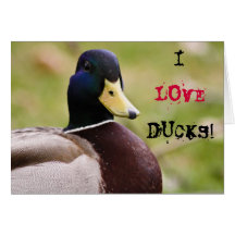 Amo la tarjeta de los patos