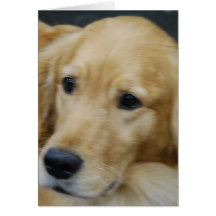 Amo la tarjeta de nota de Goldens