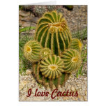 Amo la tarjeta del cactus