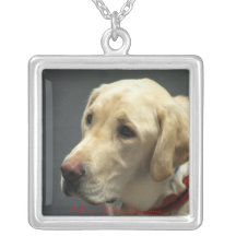 Amo Labradors amarillo Collar Personalizado