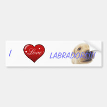 ¡Amo Labradors! Etiqueta De Parachoque