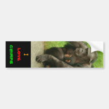 Amo los chimpancés - pegatina pegatina de parachoque