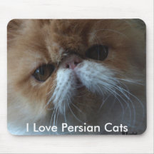 Amo los gatos persas Mousepad