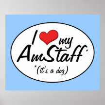 Amo mi AmStaff (es un perro) Poster
