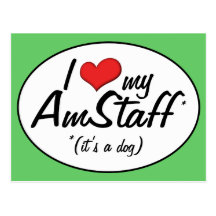 Amo mi AmStaff (es un perro) Tarjetas Postales