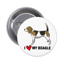 Amo mi beagle pin
