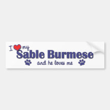Amo mi birmano del Sable (el gato masculino) Etiqueta De Parachoque