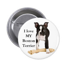 Amo mi Boston Terrier Pin